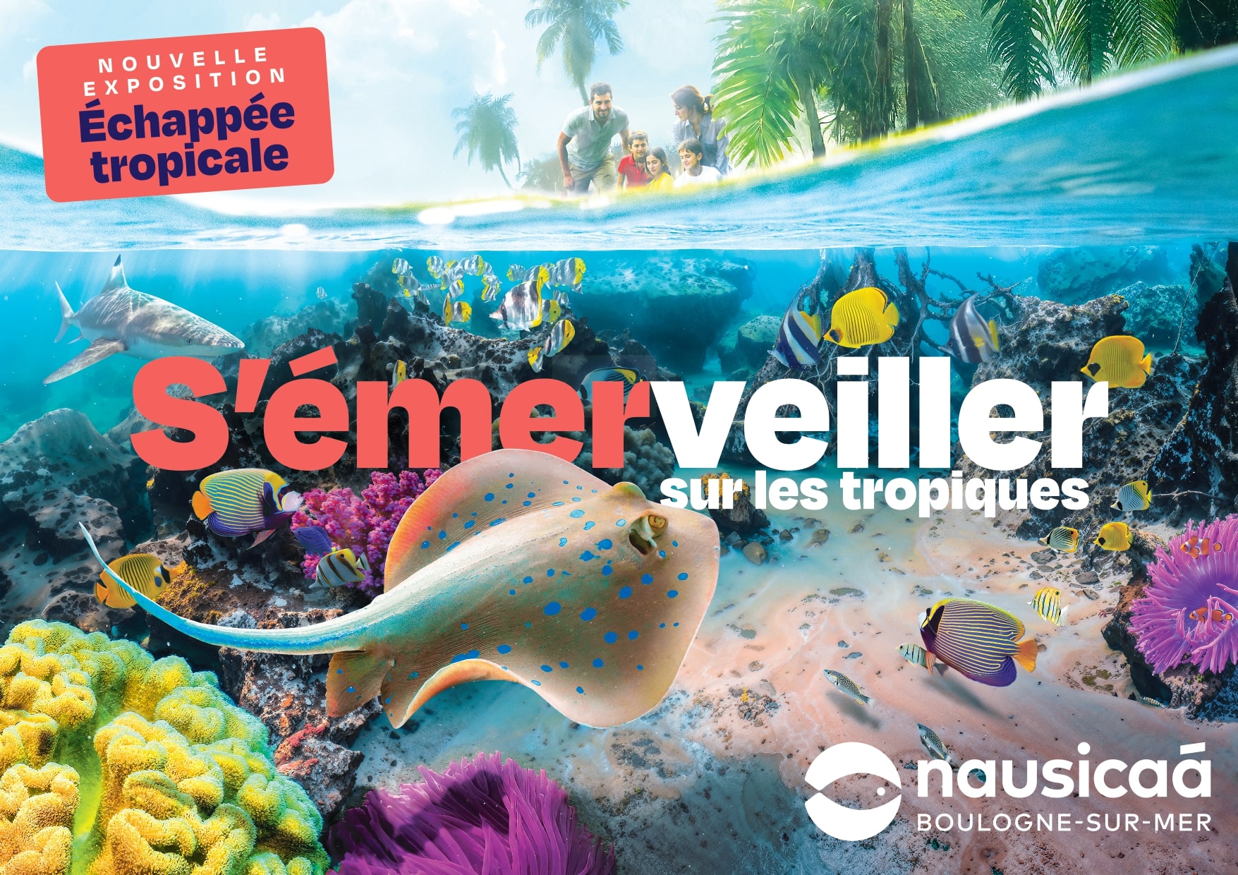 Nausicaa - Sur devis – Image 5