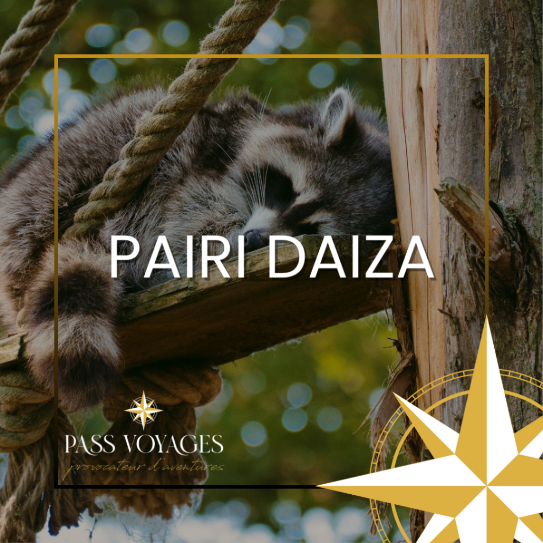 Pari Daiza