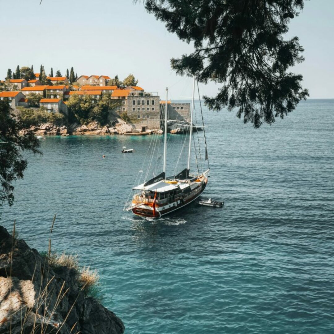 petar-lazarevic-J6Ij4p87lD8-unsplash